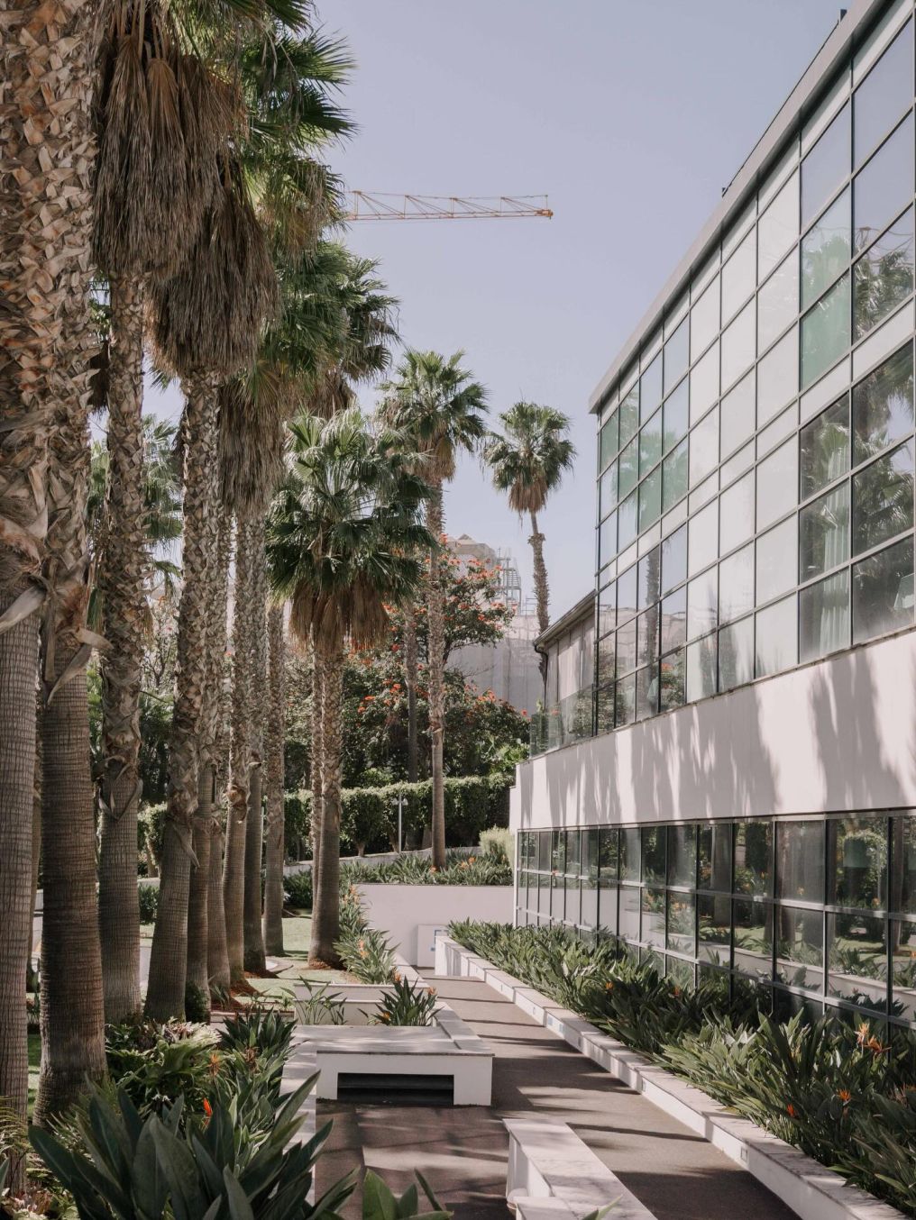 VidaMar Hotels & Resorts Venue photo