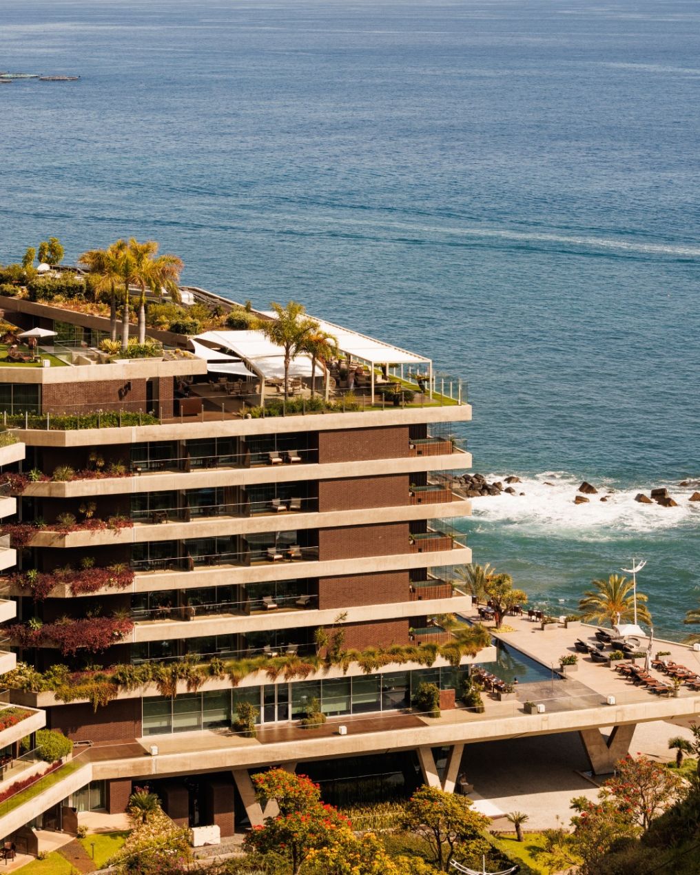 Saccharum Venue photo