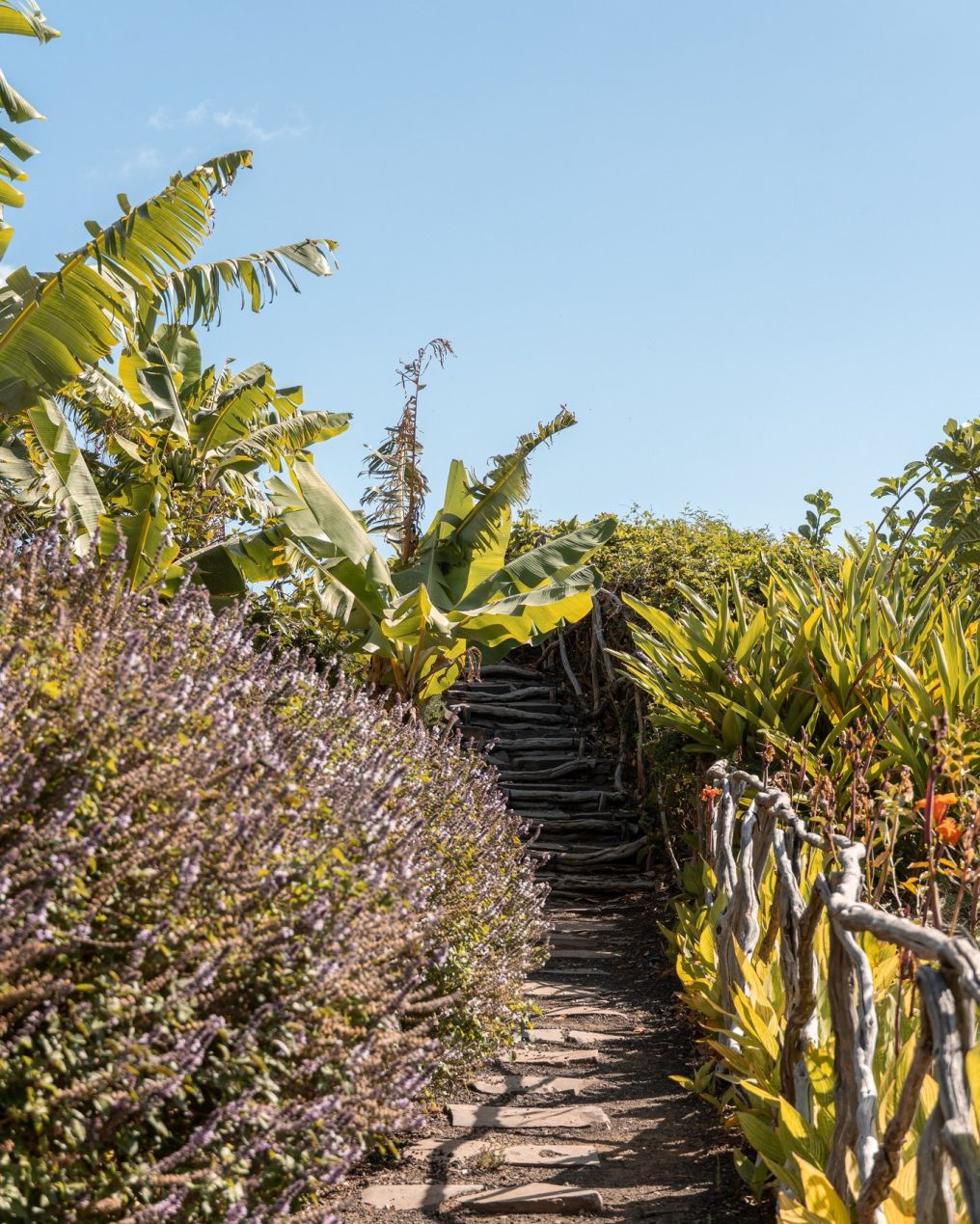 Saccharum Venue photo