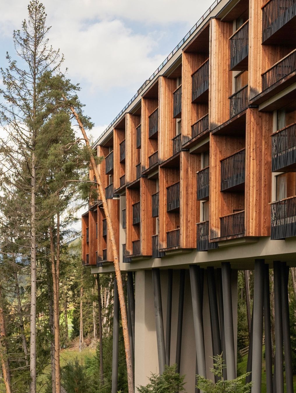 My Arbor Venue photo