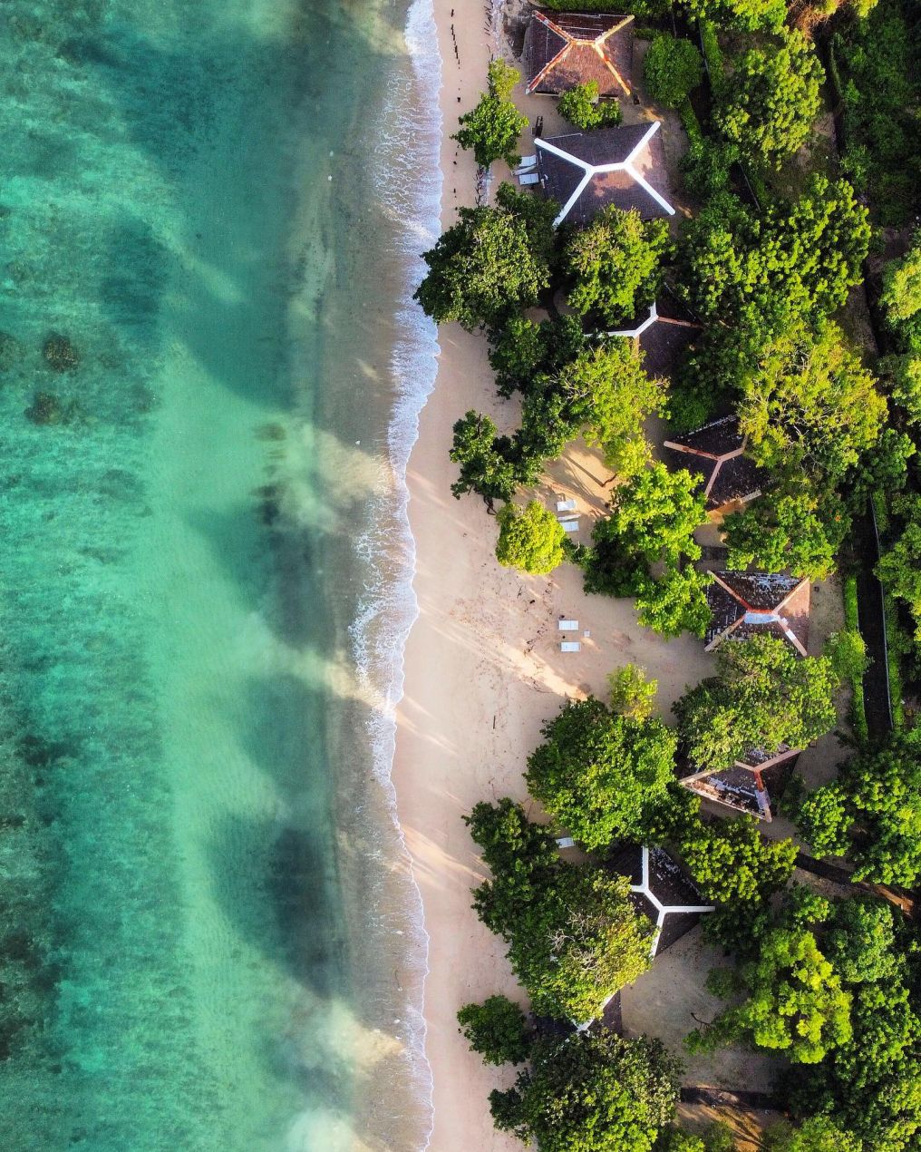 Discovery Coron Venue photo