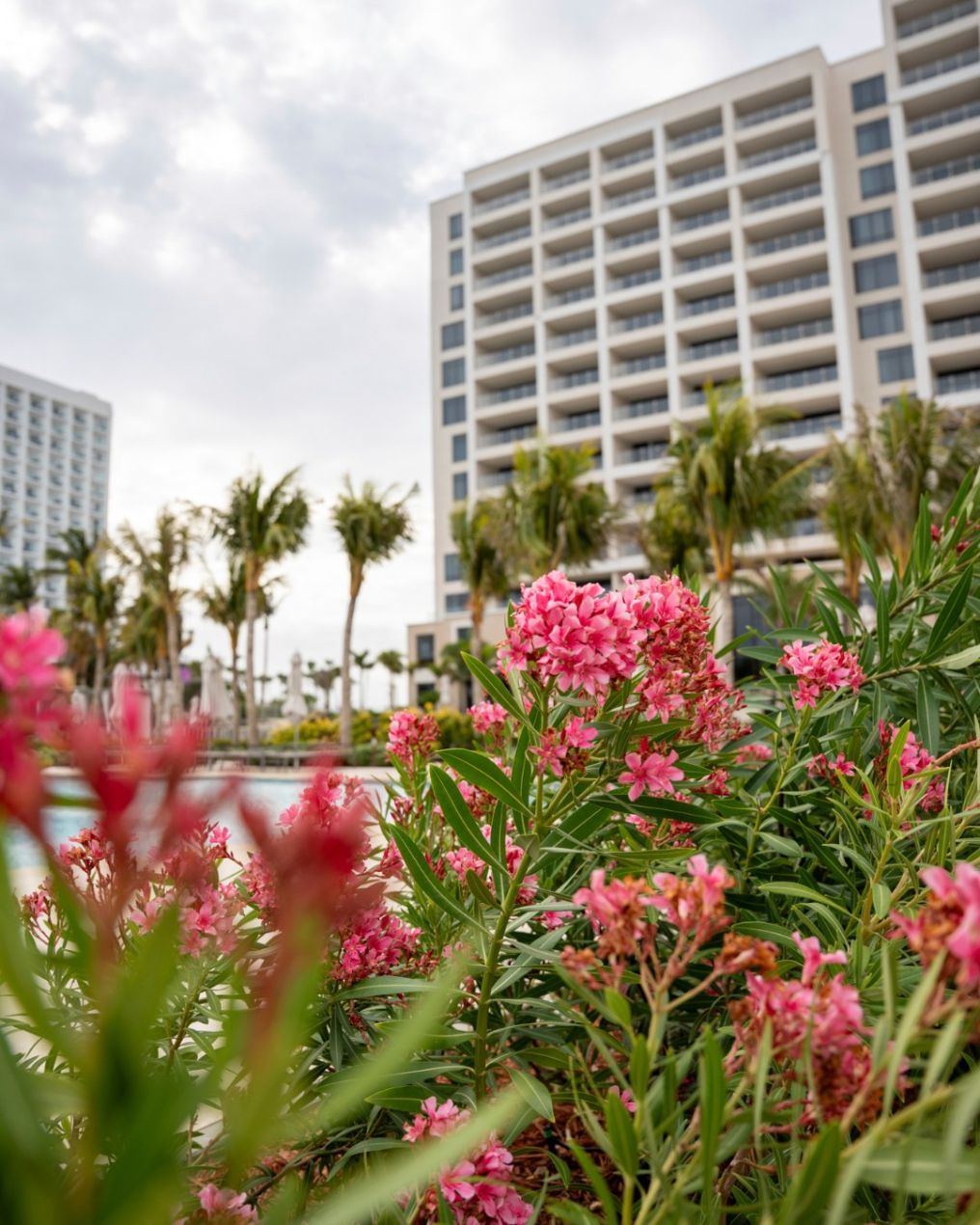 The St. Regis Aruba Resort Venue photo