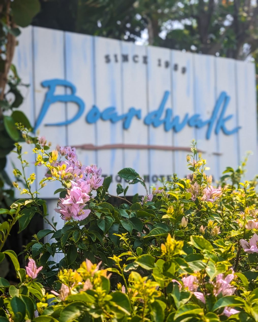 Boardwalk Boutique Hotel Aruba Venue photo