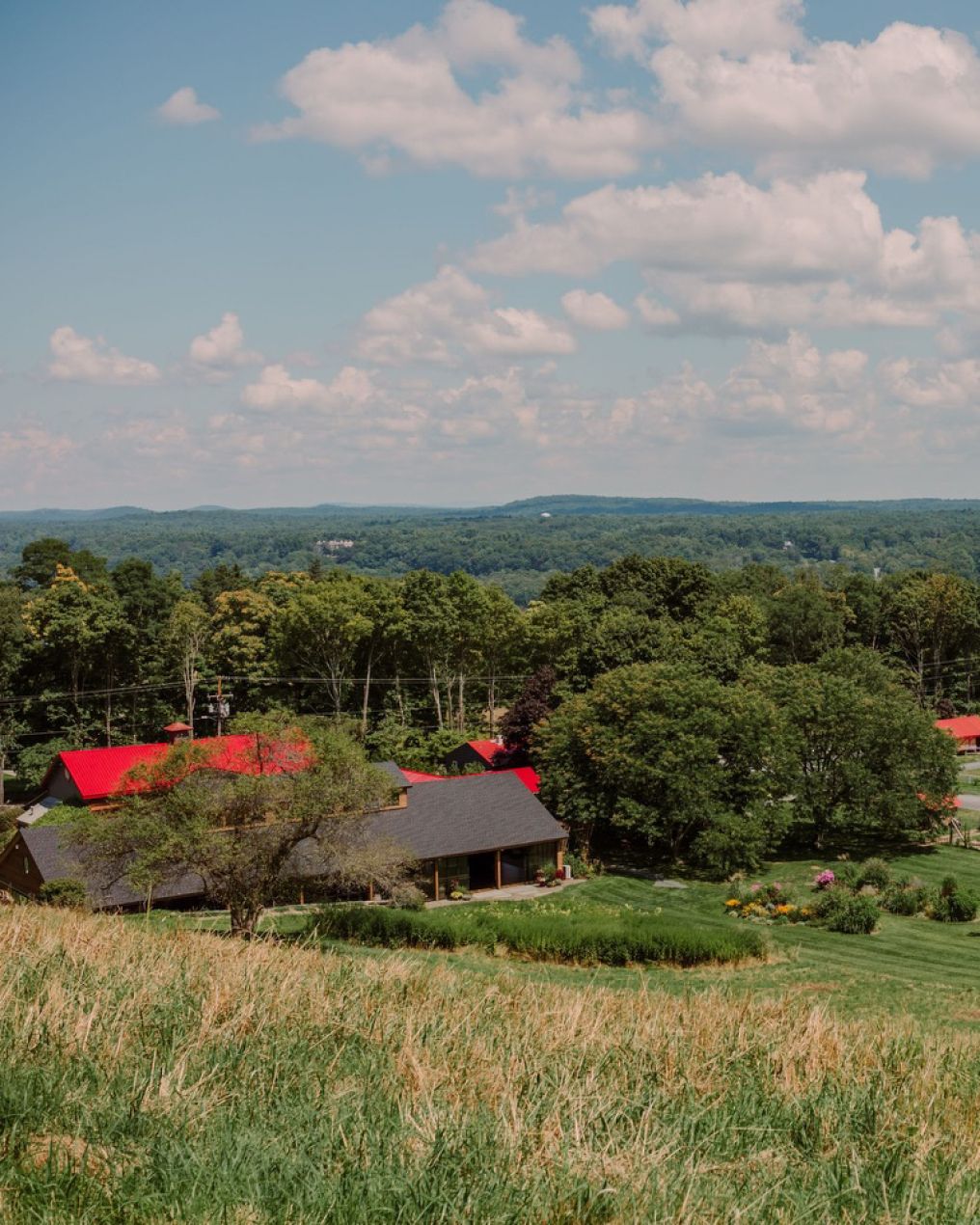 Red Maple Vineyard Venue photo