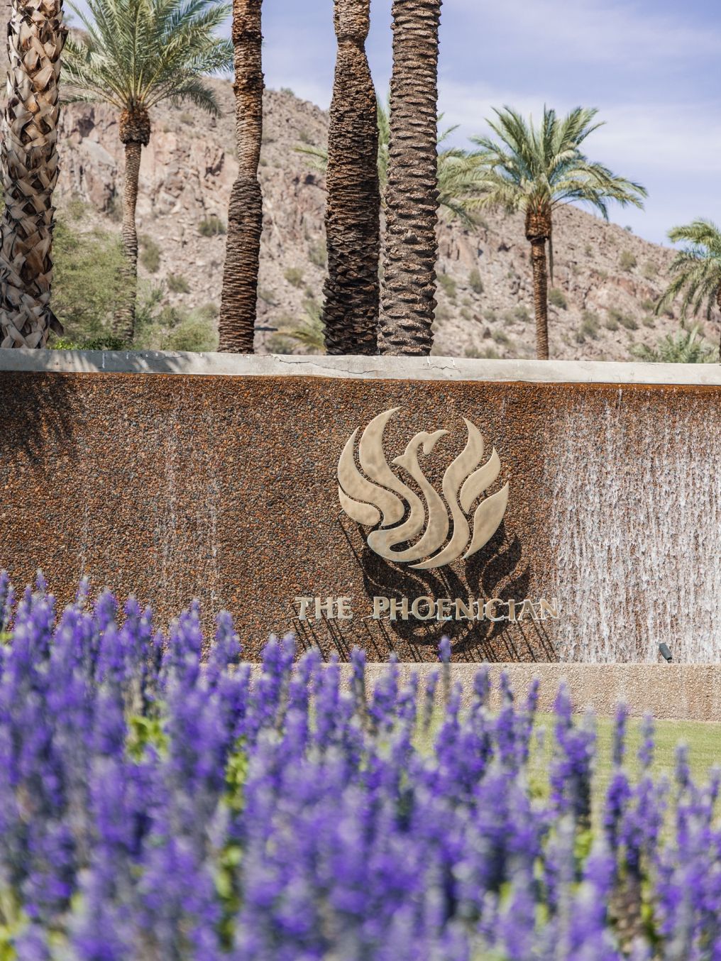 The Phoenician, Scottsdale Venue photo