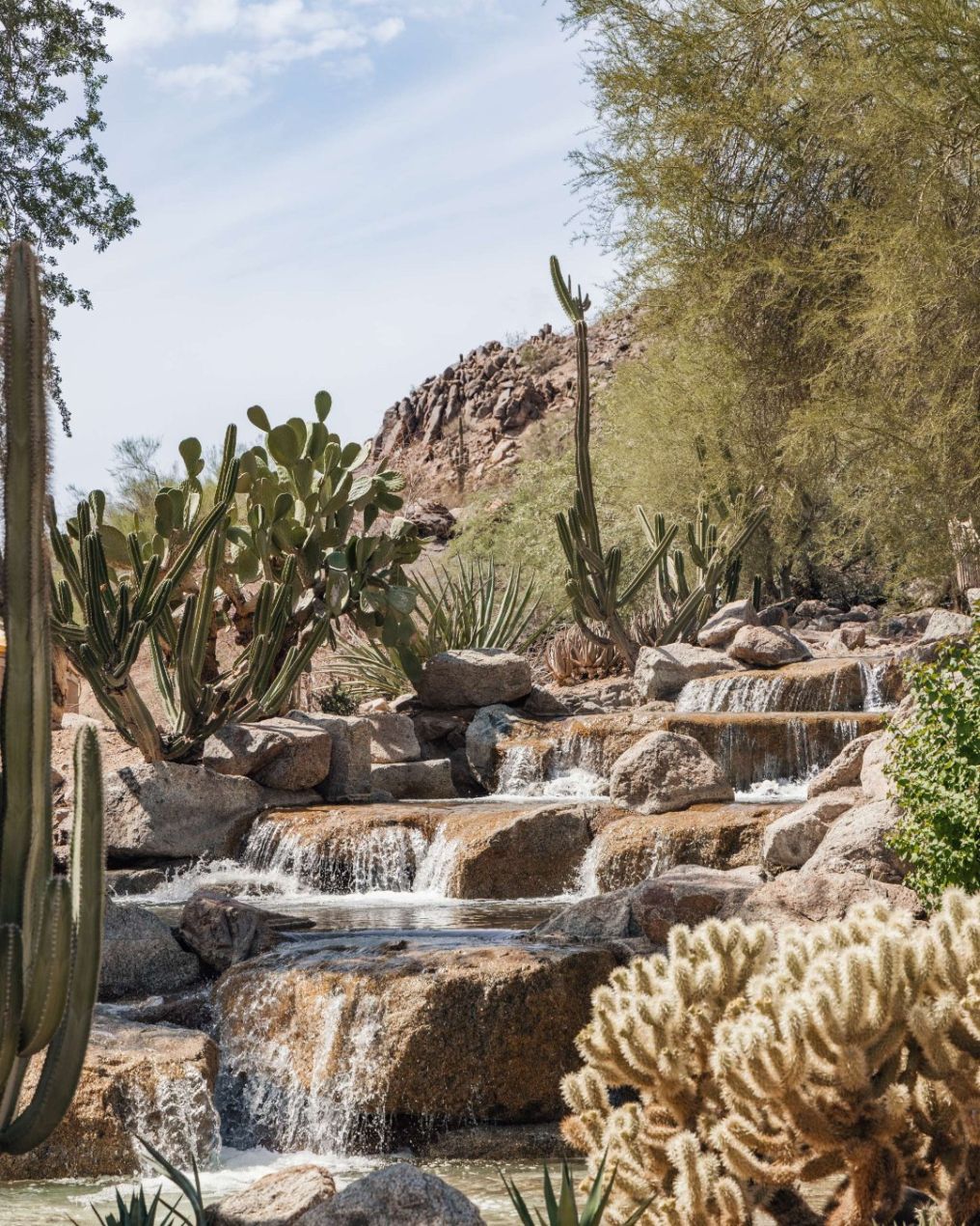 The Phoenician, Scottsdale Venue photo