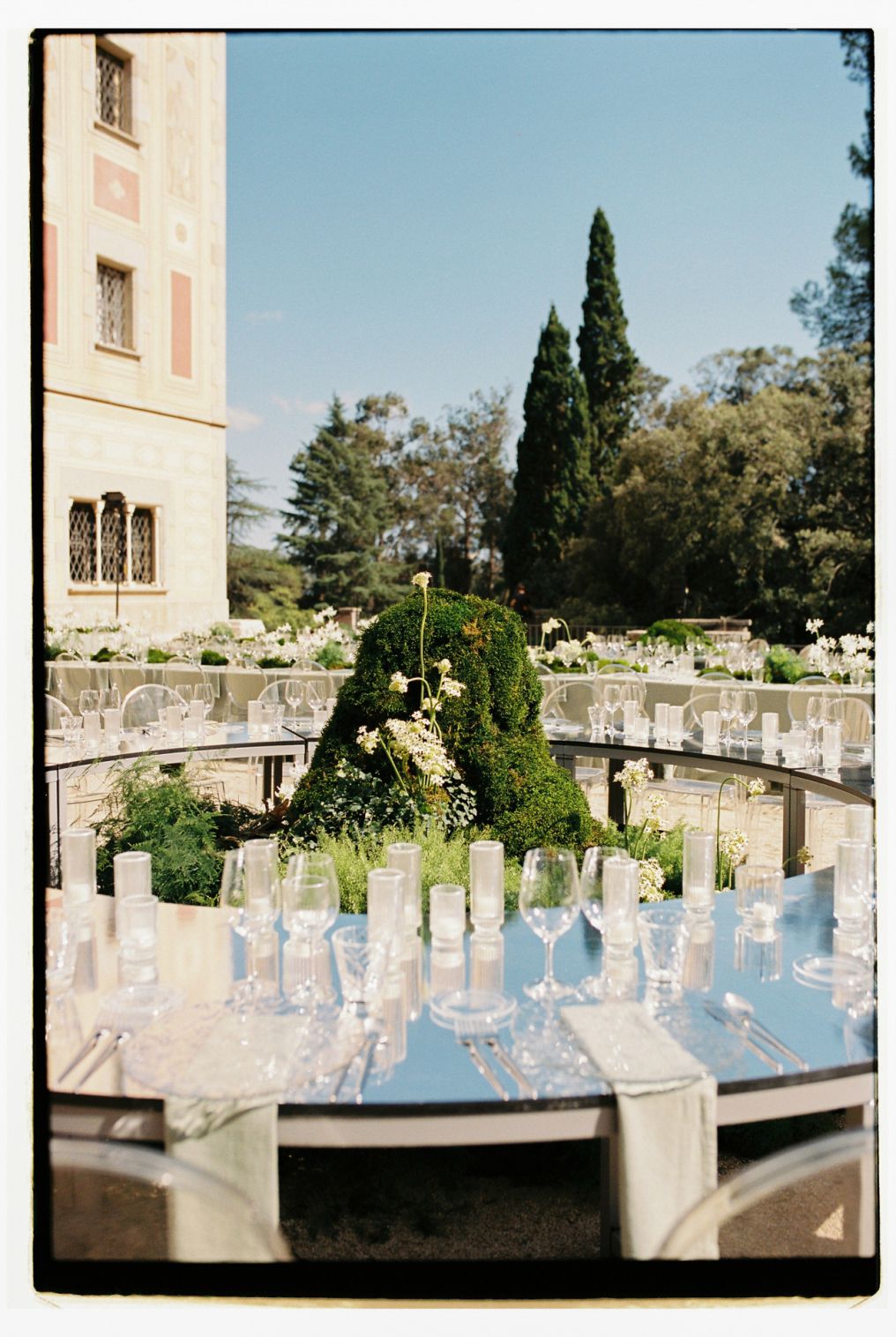 Días de Vino y Rosas Photographer photo