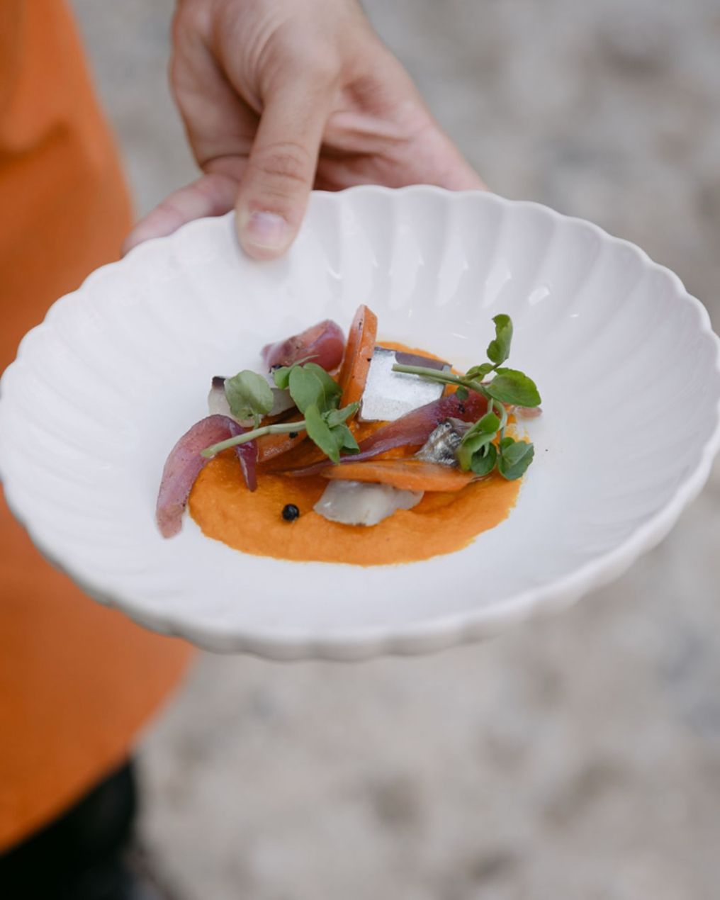 Caravan Made Caterer photo