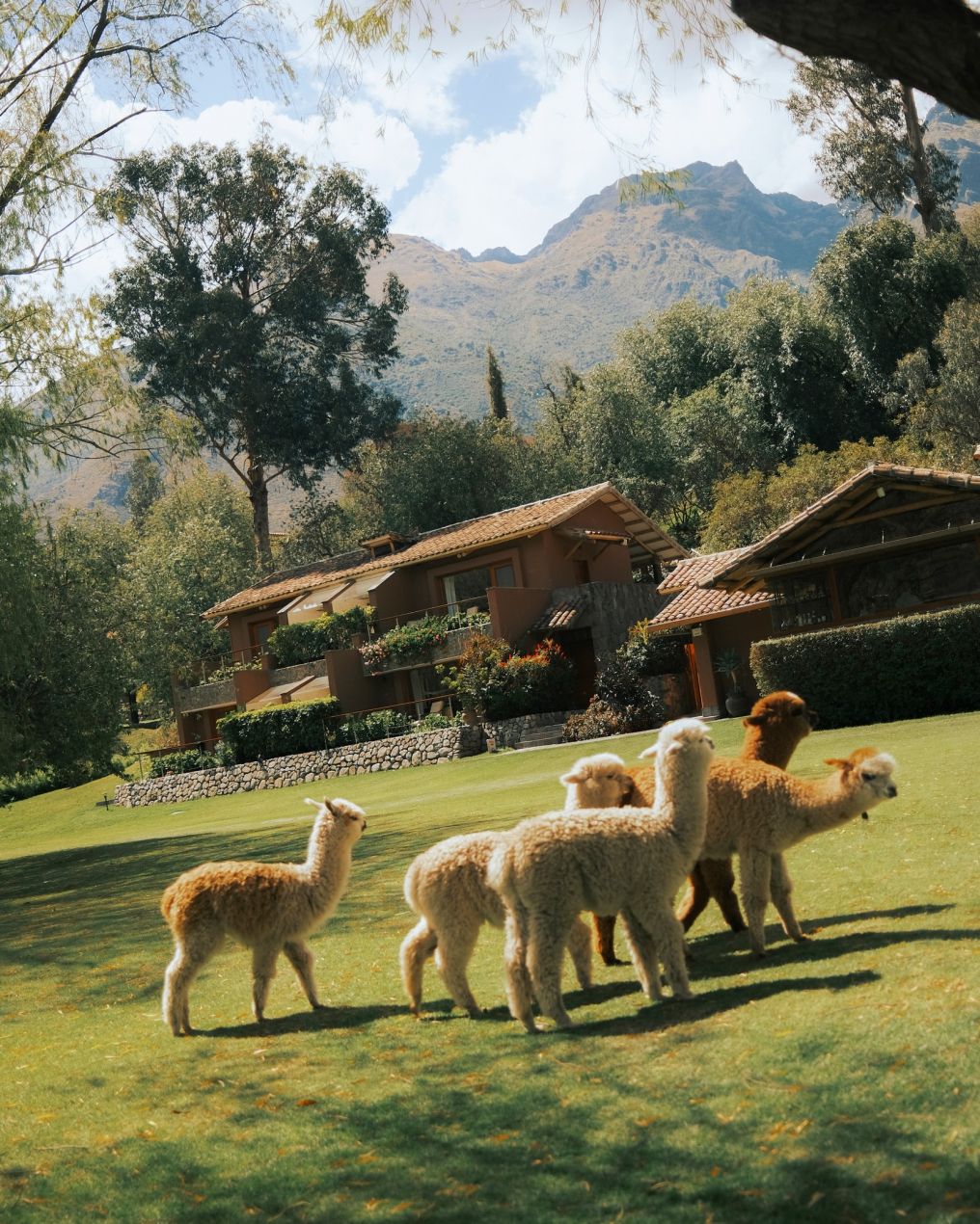 Rio Sagrado, A Belmond Hotel Venue photo