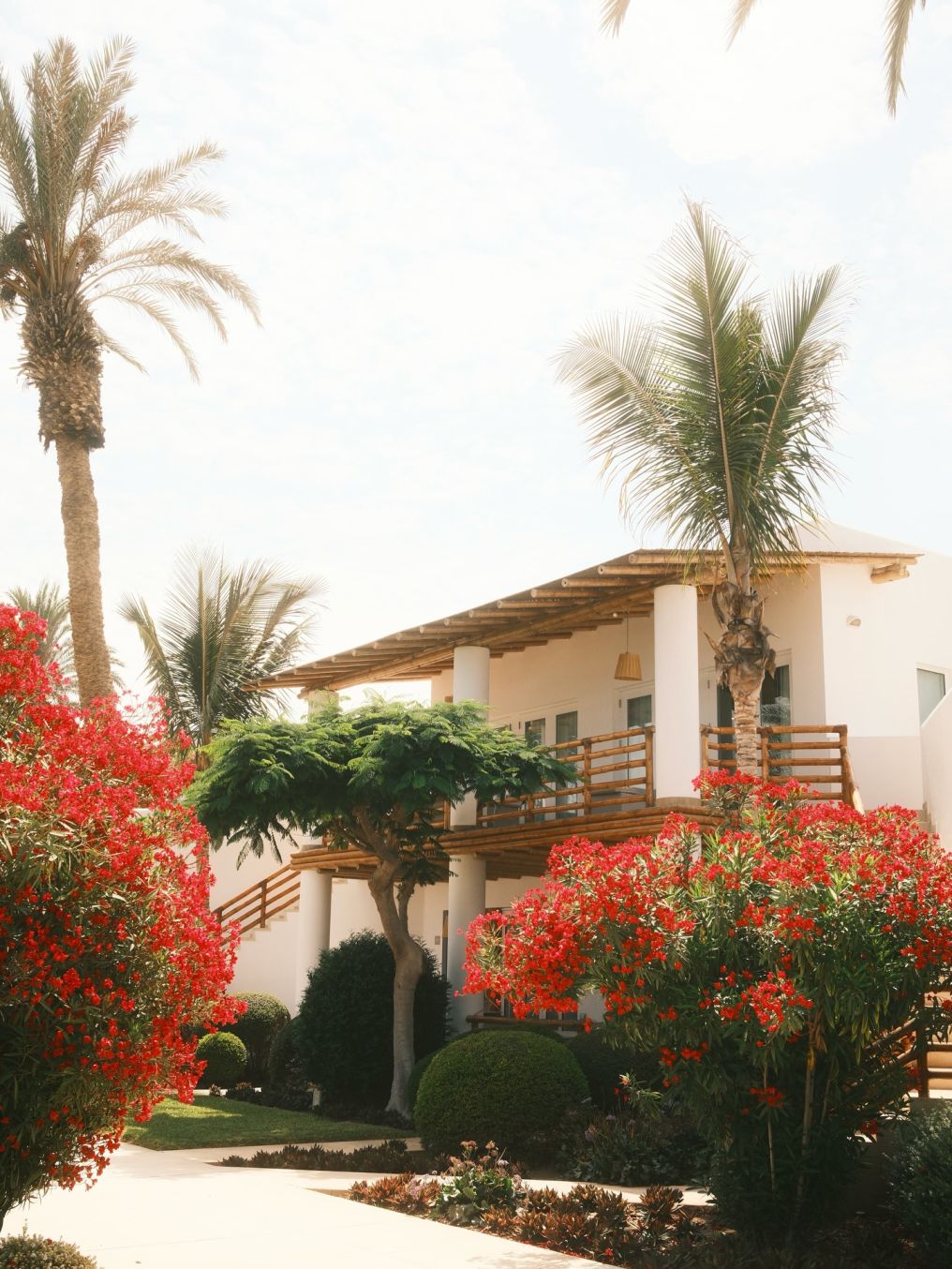 Hotel Paracas