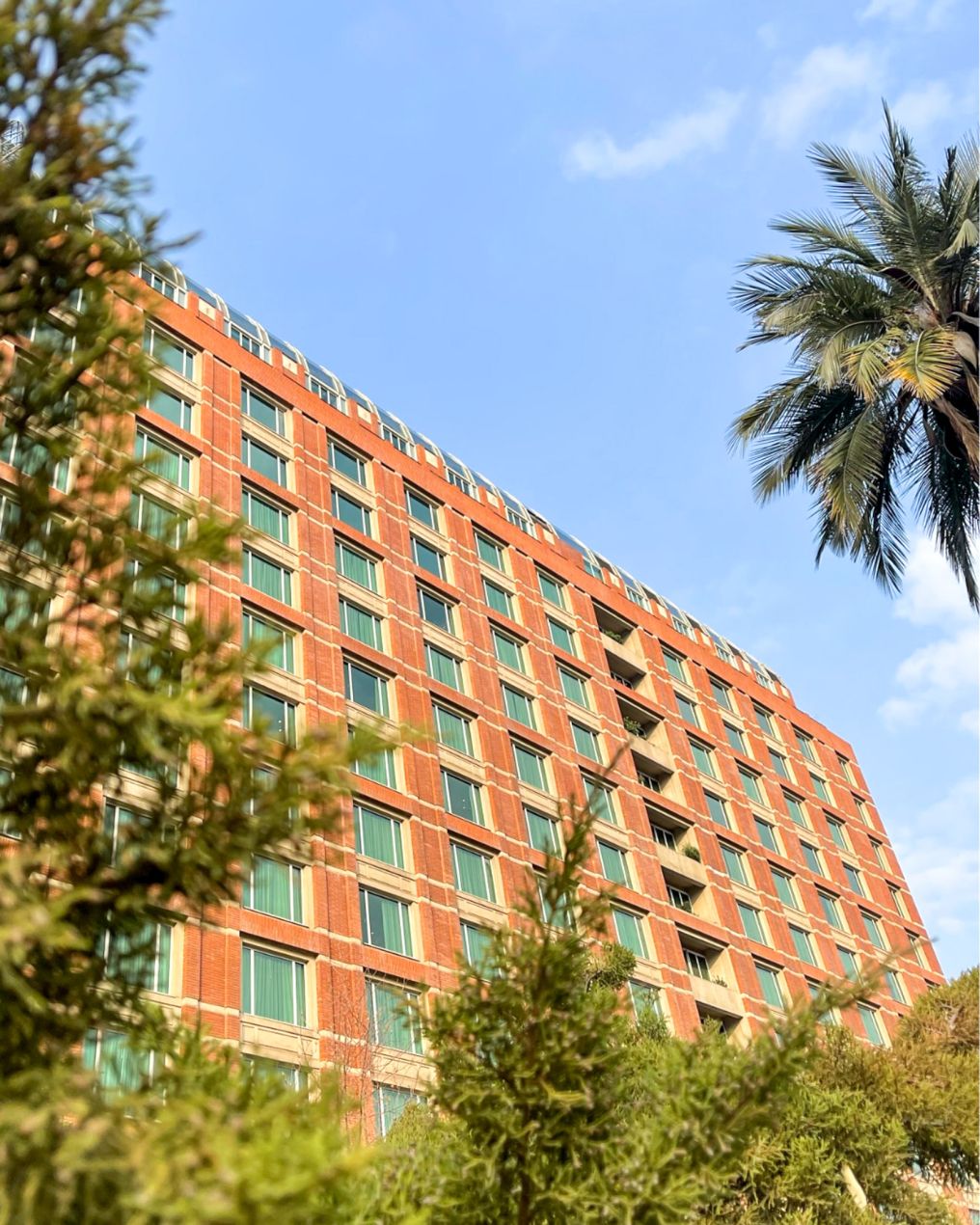 The Ritz-Carlton, Santiago Venue photo