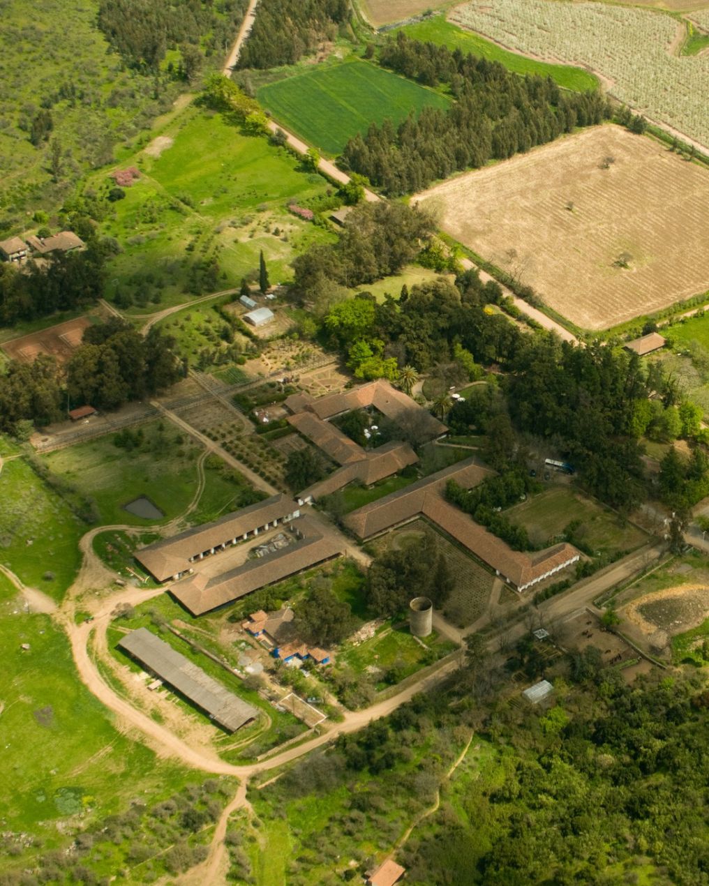 Hacienda Los Lingues