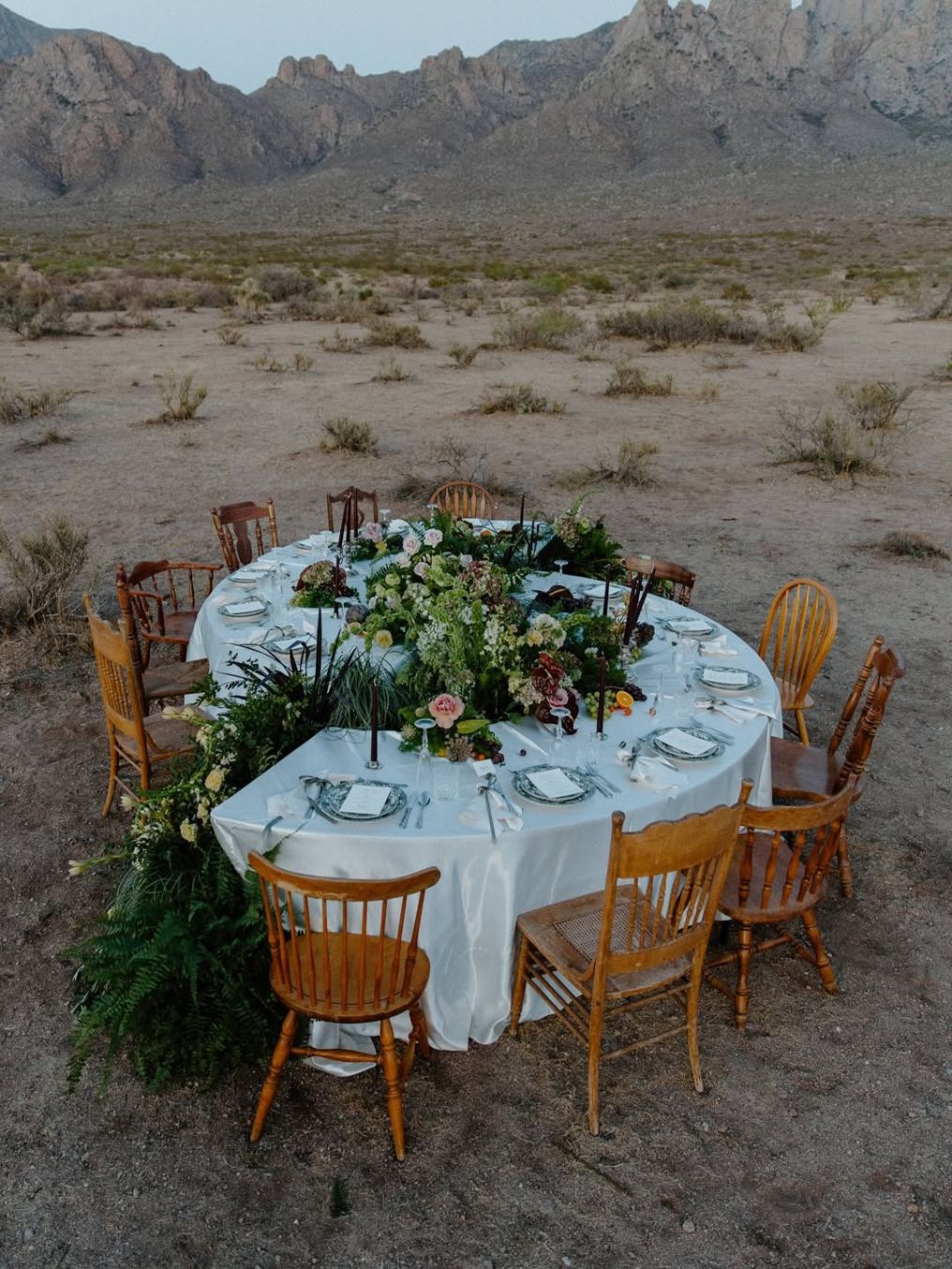 Sunny Side Events Planner photo