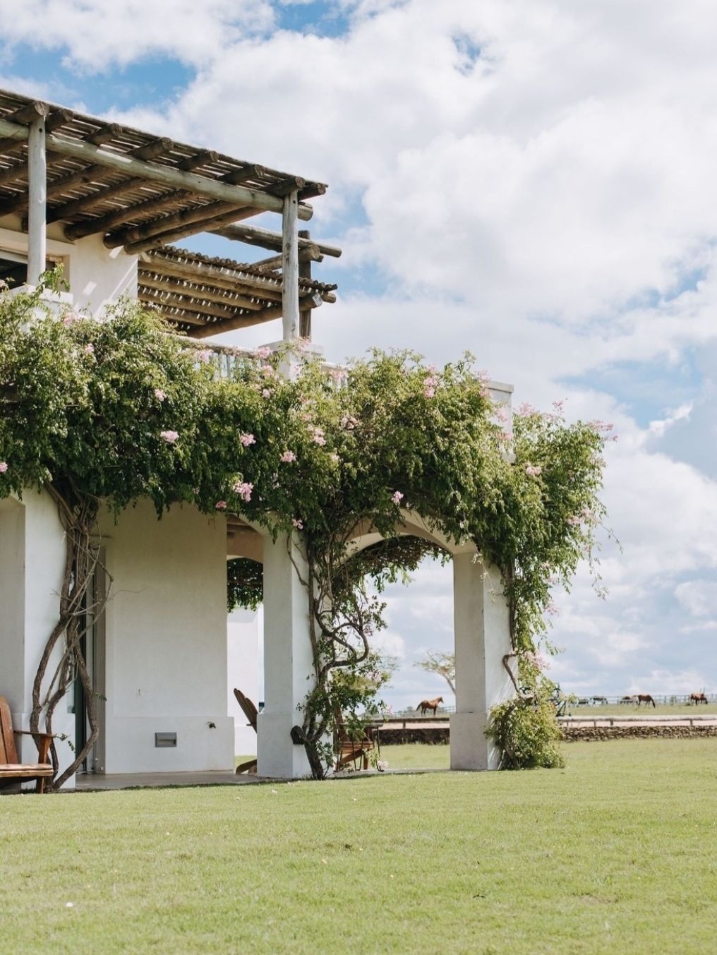 Vik José Ignacio