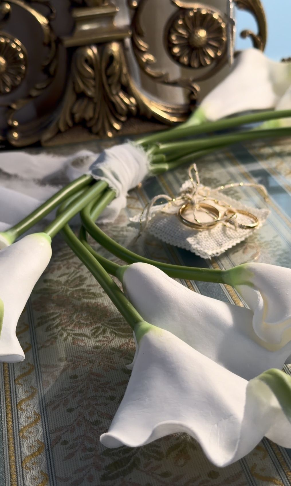 La Terra Blanche Content Creator photo