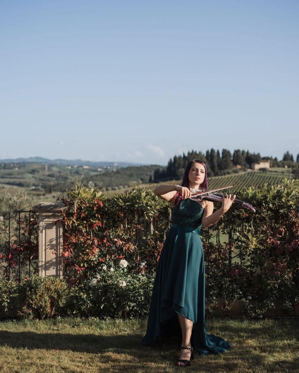 Violintronic