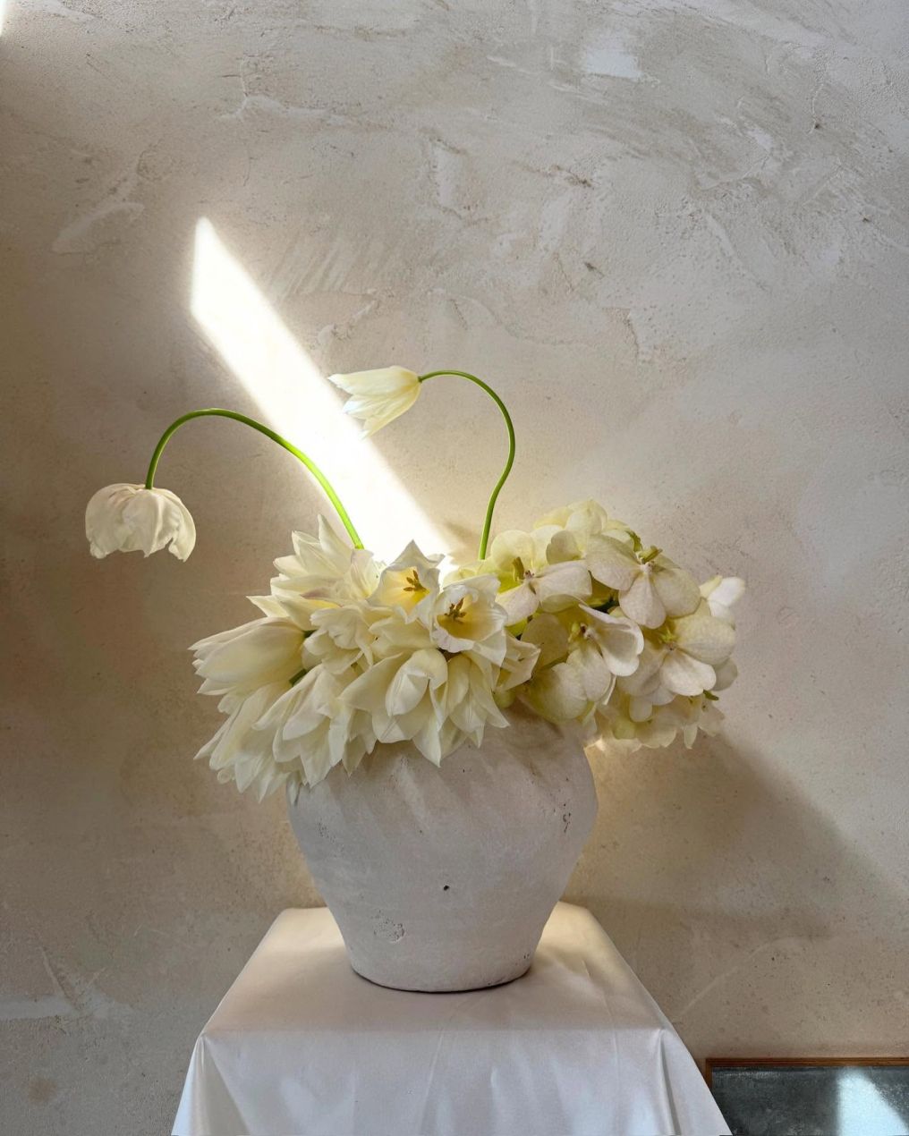 The Good Florist Florist photo