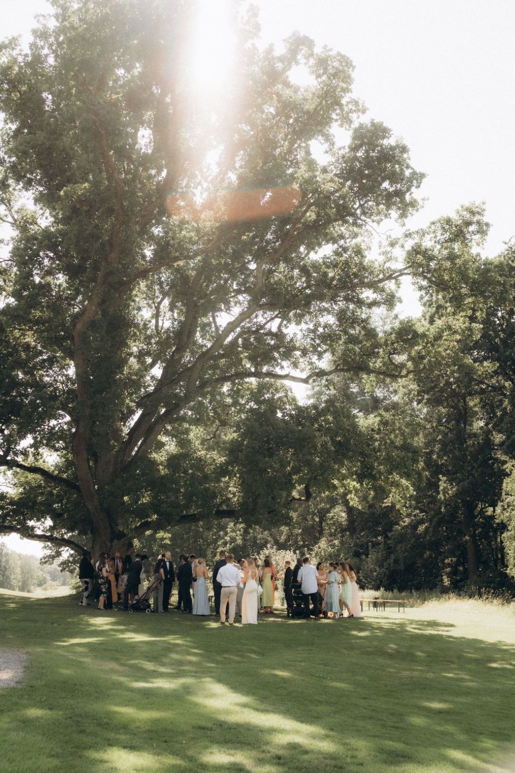 Polina K. | Lovinphoto Photographer photo