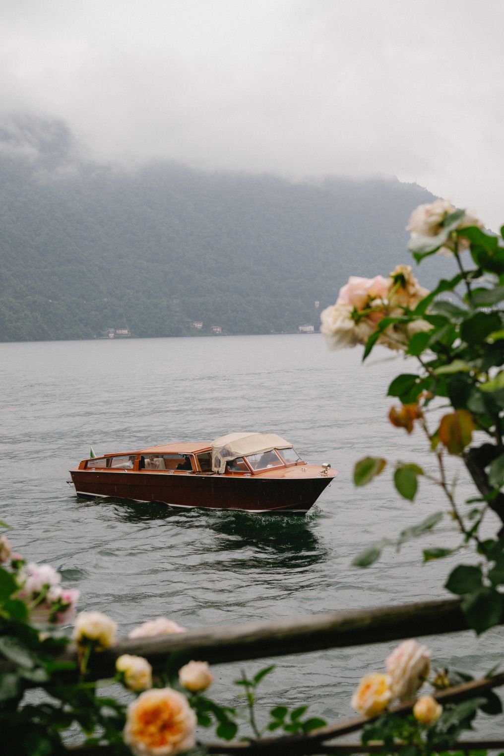 Jacie Marguerite Photographer photo