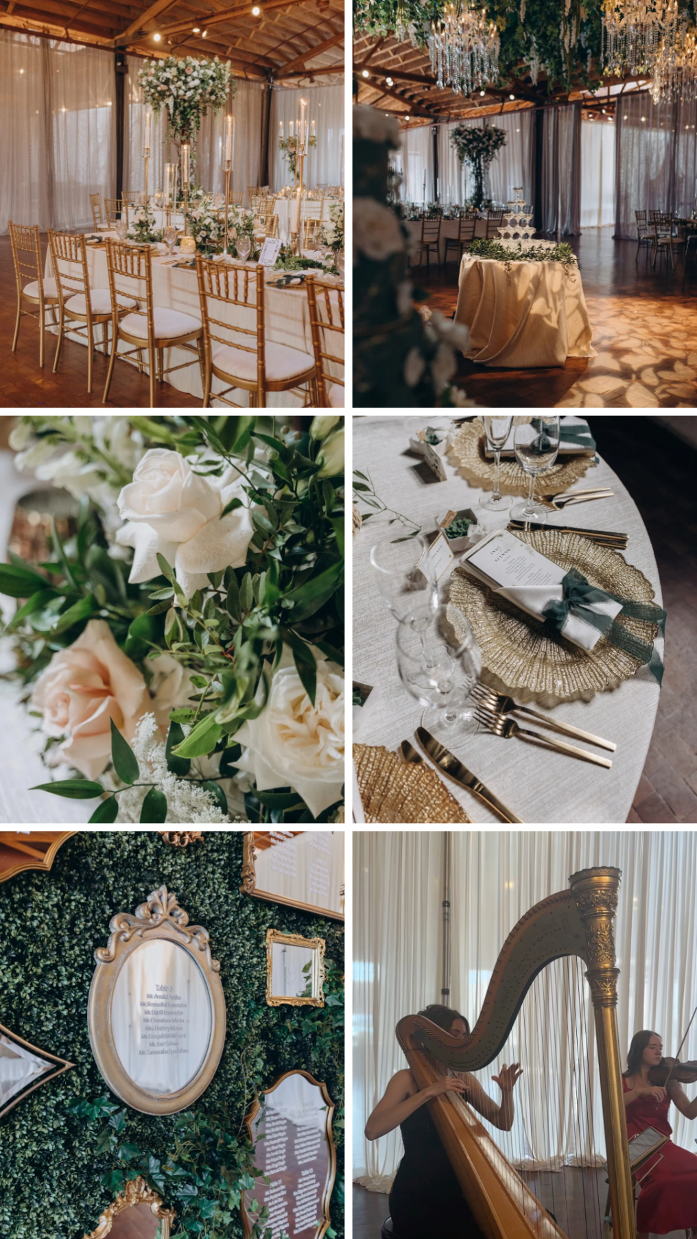 Artbelka Photographer photo