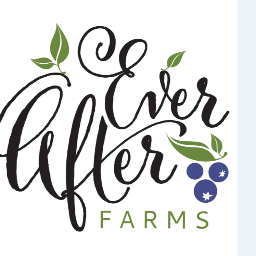 Ever After Farms Wedding Barns Venue