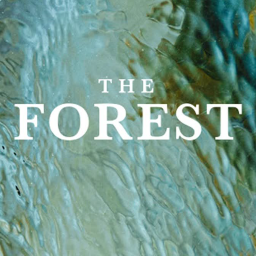 The Forest at The Veranda Venue