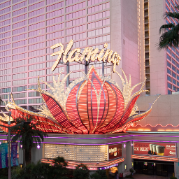 Flamingo Las Vegas Venue