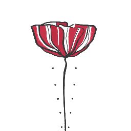 The Velvet Poppy Floral Designer | Reviews