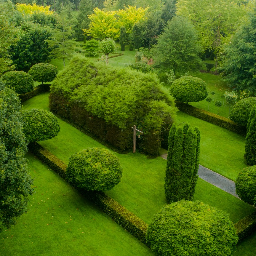 TreeChurch and Gardens Venue