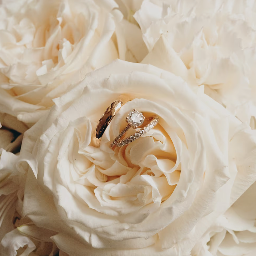 amor+psyche Photographer